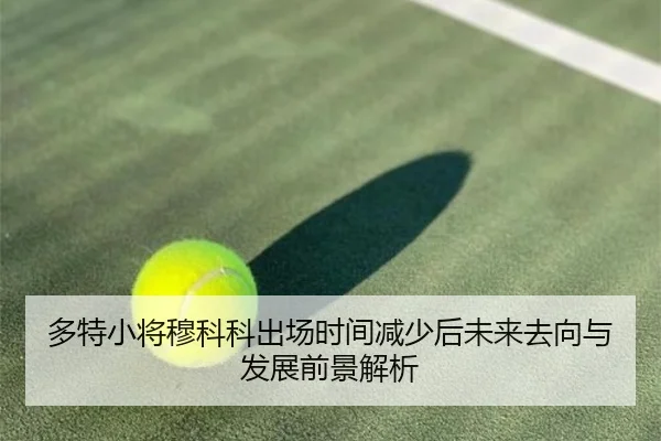 多特小将穆科科出场时间减少后未来去向与发展前景解析