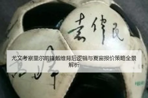 尤文考察里尔前锋戴维背后逻辑与夏窗报价策略全景解析
